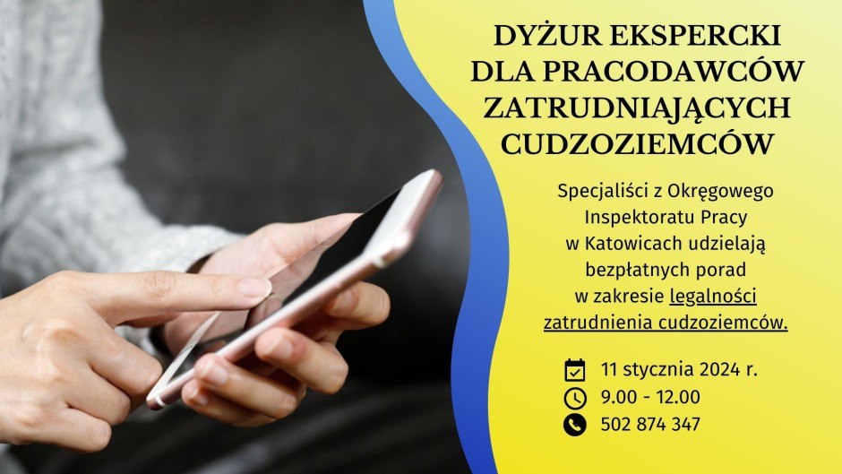 dyu017cur ekspercki