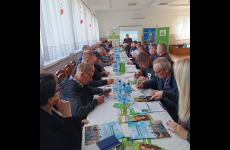 Grafika_3.1_24.04_original