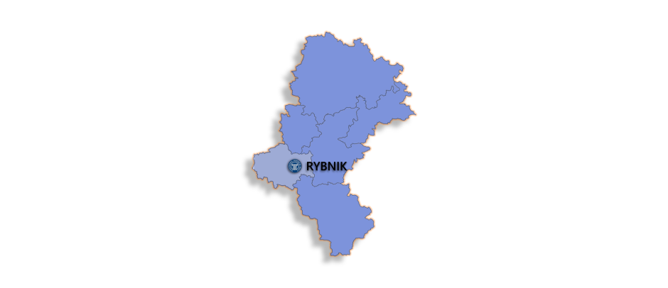  Rybnik_struktura