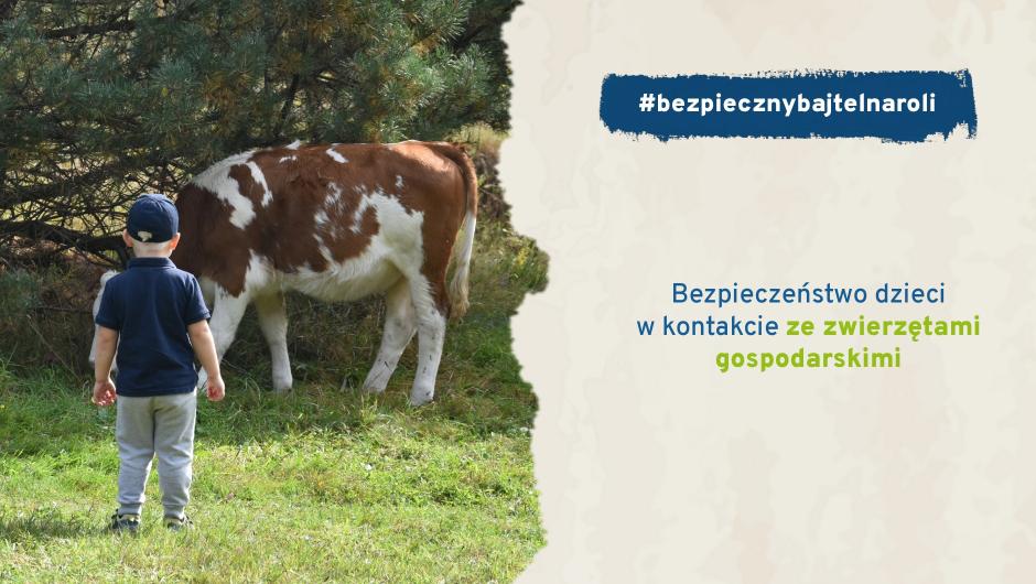 Bezpieczeństwo dzieci w kontakcie ze zwierzętami gospodarskimi